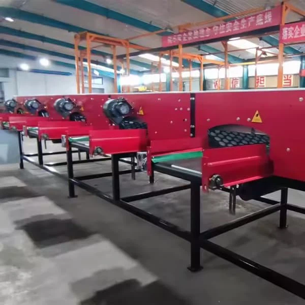 Garlic Peeling Sorting Garlic Date Cherry Fruit Size Sorting Sorter Machine Fruits And Vegetables Sizes Sorting Machines Line